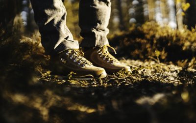 Herbst-Trends 2019 – prächtige Farben für den Herbst