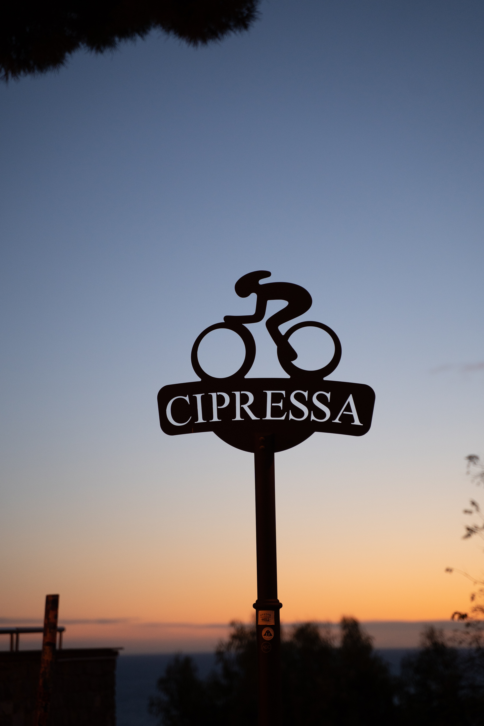 Cipressa