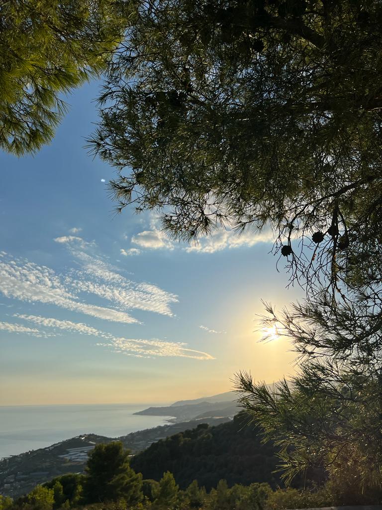 Cipressa Blick